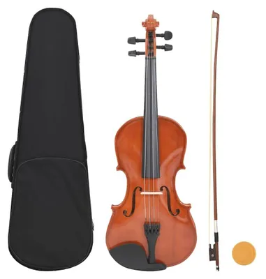 Productafbeelding van 4/4 Viool Set voor Beginners met Boog en Koffer