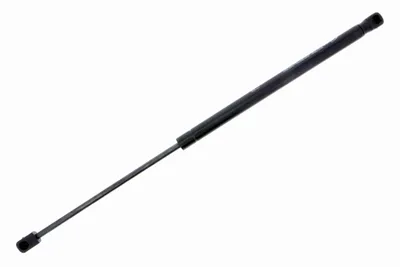 Immagine prodotto di 2X Vaico Spinta Gas Pedana Posteriore V10-4712
