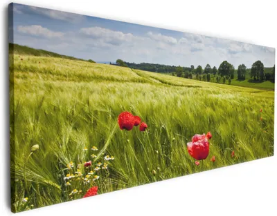 Produktbild von Wallario Premium Leinwandbild Mohnblumenwiese auf grüner Wiese unter blauem Himmel in Größe 80 x 200 cm