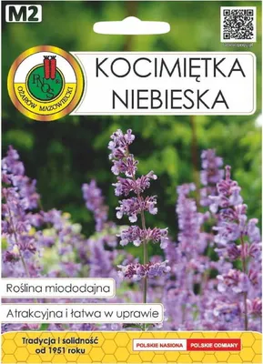 Produktbild von Katzenminze blau Samen 0.5g Zierpflanze nützlich für Bienen