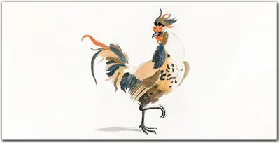 Produktbild von Coloray Küchenrückwand 140x70 Spritzschutz aus Glas - Tiervogelschwanz