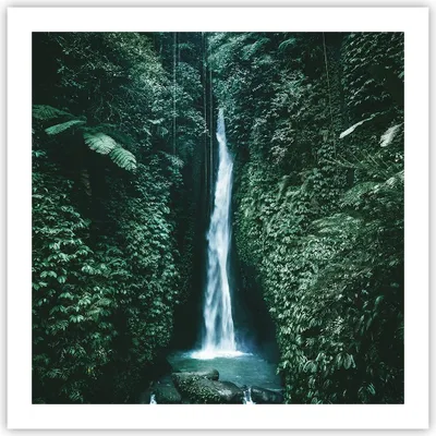 Produktbild von Poster - Poster ohne Rahmen - Tropen Wasserfall Dschungel - 60x60 cm - Wand Bild - Wanddeko - Wandbilder - Kunstposter - Wandposter - Bilder - Kunstdruck - Wanddekoration - Wandbild - P2XAC60x60-5103