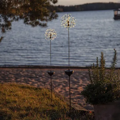 Image de FIREWORK® feu d'artifice solaire à Led décoration de jardin
