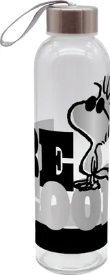 Obrázok produktu pre Peanuts Be Cool 500ml sklenená fľaša na pitie