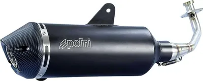 Immagine prodotto di Marmitta POLINI acciaio inox per Vespa 125 GTS E4