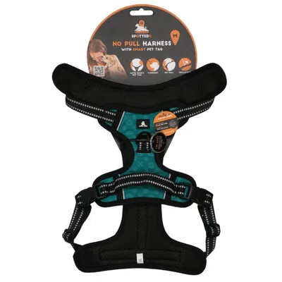 Immagine prodotto di Hofman Animal Care SPOT0016C, Cane, Cinghia anti-traino, M, Verde, 52 cm, 70 cm
