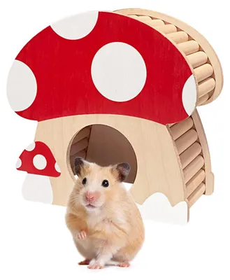 Immagine prodotto di Cuccia a forma di fungo in legno, ideale per criceti nani, ratti e gerbilli