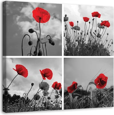 Produktbild von Leinwandbild rote mohnblumen 60x60 cm Feeby rot wandbild bereit zum aufhängen