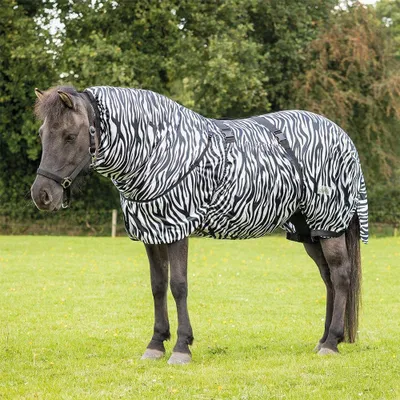 Produktbild von QHP Ekzemerdecke in Größe 175 - Ekzemerdecke Icelandic - Zebra