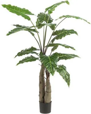 Immagine prodotto di Pianta artificiale Alocasia Ø150cm - pianta verde artificiale per soggiorno