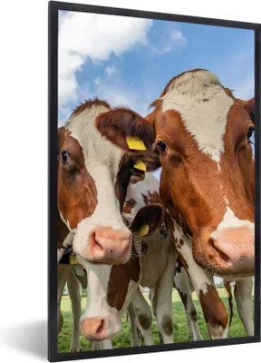 Produktbild von MuchoWow® Gerahmtes Poster Kühe - Tiere - Weide - Natur 60x90 cm - Poster mit Schwarzem Bilderrahmen Wandposter Rahmen Foto Bilder - Kunst