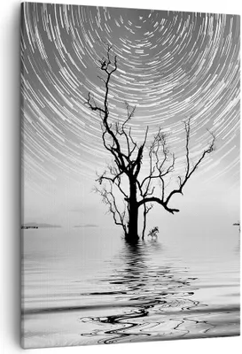 Produktbild von Bild auf Leinwand - Leinwandbild - Einteilig - Schwarzweiß Baum See - 50x70cm - Wand Bild - Wanddeko - Wandbilder - Leinwanddruck - Wanddekoration - Leinwand bilder - Wandbild - PA50x70-4253