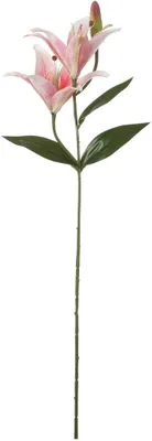 Produktbild von Mica Kunstpflanze Tigerlilie rosa, 65cm