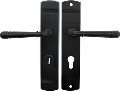 A pair of black door handles with escutcheons, presented against a white background.