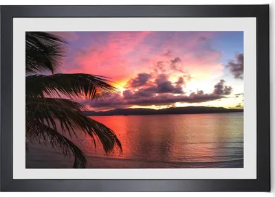 A framed picture of a sunset over the ocean with palm fronds in the foreground.