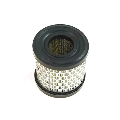 Obrázok produktu pre Vzduchový filter pre B&S ( 396424 , Pt7953 ) 69X33X70