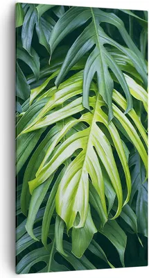 Produktbild von Bild auf Leinwand - Leinwandbild - Blume Natur - 55x100cm - Wand Bild - Wanddeko - Wandbilder - Leinwanddruck - Bilder - Kunstdruck - Wanddekoration - Leinwand bilder - Wandkunst - PA55x100-3951