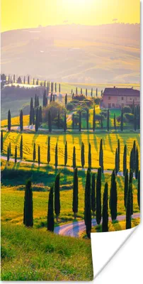Produktbild von MuchoWow® Poster Gras - Sonne - Hügel - Landschaft 40x80 cm - Dekoration