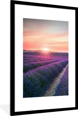 Produktbild von MuchoWow® Gerahmtes Poster Lavendel - Lila - Blumen - Himmel 60x90 cm - Poster mit Schwarzem Bilderrahmen Wandposter Rahmen Foto Bilder - Dekoration - Wandposter Wohnzimmer - Hochwertig