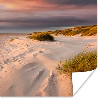 Produktbild von MuchoWow® Poster Strand - Sonne - Düne 100x100 cm - Babyzimmer