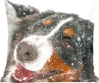 Produktbild von MuchoWow® Zierkissen Sofakissen Wohnzimmer Dekokissen 50x50 cm Ein Berner Sennenhund unter dem Schnee - Komfort - Sofakissen