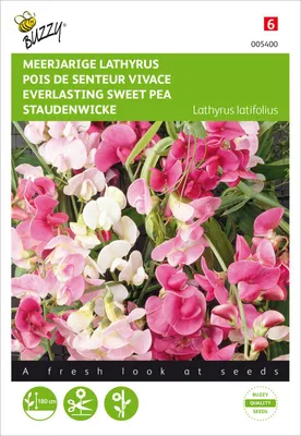 Produktbild von Staudenwicke Mischung | Wickensamen von Buzzy Seeds