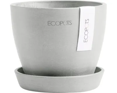 Image de Ecopots Antwerp Soucoupe pour pot de fleurs - L 11,5 cm x H 10,1 cm - Usage intérieur et extérieur