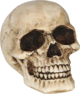 Produktbild von Totenkopf Halloween Dekoration Totenkopf Kopf Ornament