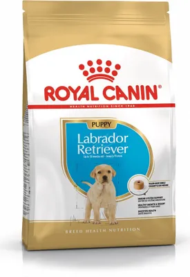 Immagine prodotto di Royal Canin Labrador Retriever Junior - 12 kg
