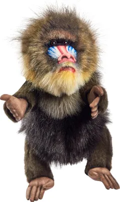 Produktbild von Hansa Creation - Kuscheltier - Handpuppe Mandrill