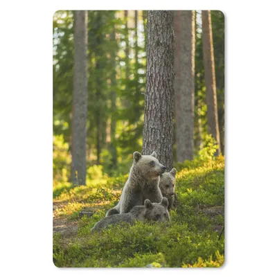 Produktbild von MuchoWow® Mauspad Mousepad Bär - Braun - Wald 40x60 cm - Mousepads - Maus Mat - Pad - Mausunterlage - Schreibtisch Accesoire