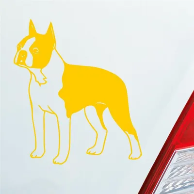 Produktbild von Auto Aufkleber Boston Terrier Hund Dog Animal 12x10 cm Gelb Sticker Heckscheibenaufkleber
