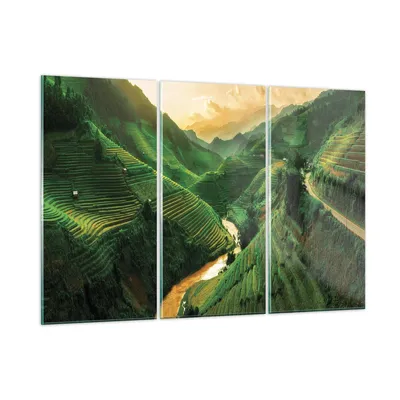 Produktbild von Bilder auf glas - 3 Teile - Klappe Reis Vietnam - 165x110cm - Glasbilder - Wandbilder - Bilder - zum Aufhängen bereit - Wanddekoration aus Glas - Glas Bilder - Wandbild auf Glas - GCE165x110-4296