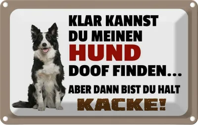 Produktbild von vianmo Blechschild 20x30 cm klar kannst du Hund doof finden Spruch Zitat