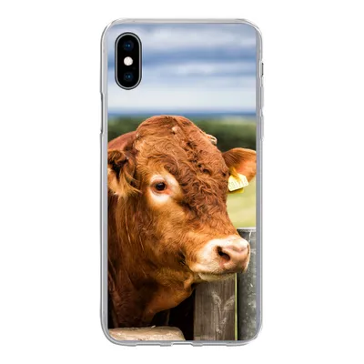 Produktbild von MuchoWow® Handyhülle Schutzhülle Hülle für iPhone Xs Schottischer Highlander - Berg - Zaun Silikon Softcase Handy Hülle - Handytasche
