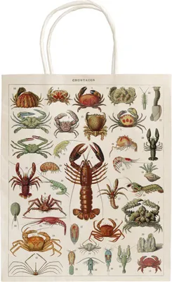 Immagine prodotto di Sacchetto di carta Crustaceans (prodotto da Crustaceans)