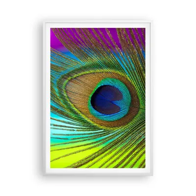 Produktbild von Gerahmtes Poster - Weißer Rahmen - Pfauen Federn Regenbogen - 70x100 cm - Wand Bild - Wanddeko - Wandbilder - Kunstposter - Wandposter - Bilderrahmen - Bilder - Kunstdruck - P2WPA70x100-4385