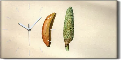 Produktbild von Wanduhr Uhr Wandbild Leinwand Geräuschlos 60x30 Malerei Früchte Blumen Kunst - weiße Hände