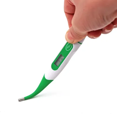 Produktbild von Tier Thermometer Digital LED Display Thermometer Schnelle Ablesung Genaue Wasserdichte Pet Digital Thermometer fuer Hunde Pferd Katzen Schweine Schafe
