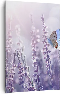 Produktbild von Bild auf Leinwand - Leinwandbild - Einteilig - Schmetterling Wiese Blume - 80x120cm - Wand Bild - Wanddeko - Wandbilder - Leinwanddruck - Wanddekoration - Leinwand bilder - Wandbild - PA80x120-4014