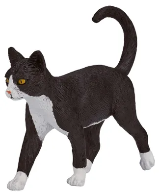 Image de Mojo Farmland Kat - 387200