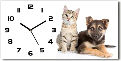 Produktbild von Wanduhr aus Glas – 60x30 cm - Glasbild - Glasuhr - Gehärtetes Glas - schwarze-zeiger - Hund und Katze