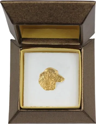 Produktbild von Dachshund Rauhhaar, Dackel, Teckel V - Hundebrosche in dekorativer Box, elegante vergoldete Anstecknadel, Jackenbrosche der Marke Art-Dog
