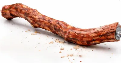Zdjęcie produktu dla Konar Paritte S/M - naturalny konar dla małych i średnich papug