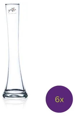 Produktbild von 6er Set Glasvasen, Blumenvasen SOLIFLEUR H. 26cm D. 4cm + 7cm klar Sandra Rich