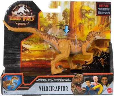 Obrázok produktu pre Mattel HBX32 Jurský svet dinosaurus Velociraptor pohyblivá figúrka na hranie, útok pazúrmi, hnedá pruhovaná prírodná farba, 19 cm, pre deti