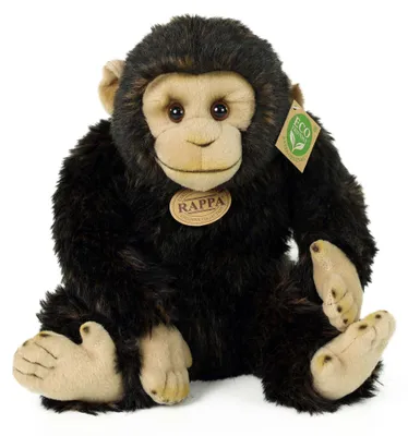 Image de Peluche chimpanzé 27 cm ECO-FRIENDLY