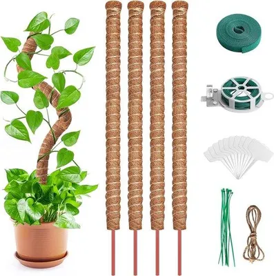 Image de Tuteurs souples de 70 cm avec attaches et étiquettes