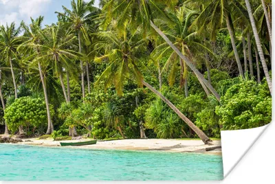 Produktbild von MuchoWow® Poster Palme - Meer - Tropisch 180x120 cm - Fotoplakat