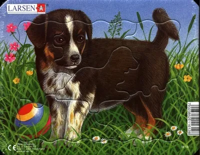 Obrázok produktu pre Mačky a psy puzzle 7 dielov